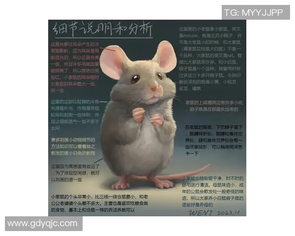 如何轻松绘制可爱的足球明星形象技巧与步骤分享