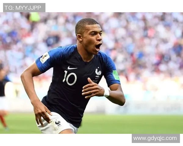 法国足球明星球星的辉煌历程与影响力解析